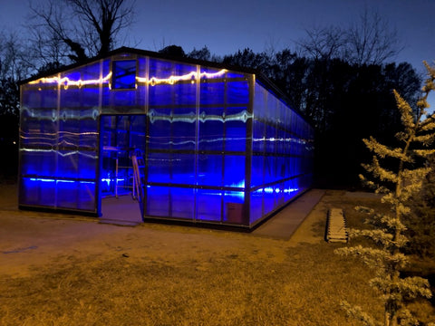 20' x 40' DIY Greenhouse