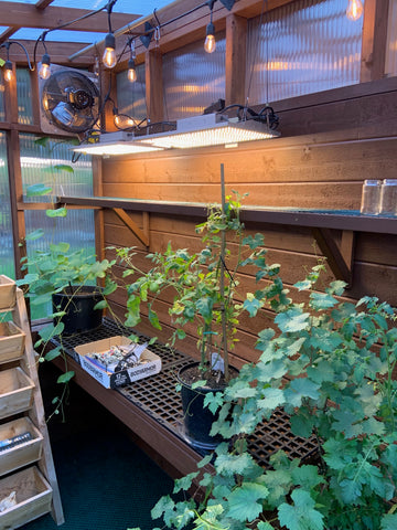 DIY Cedar Freestanding Lean-to Greenhouse