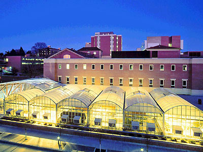 polycarbonate-urban-greenhouses.jpg
